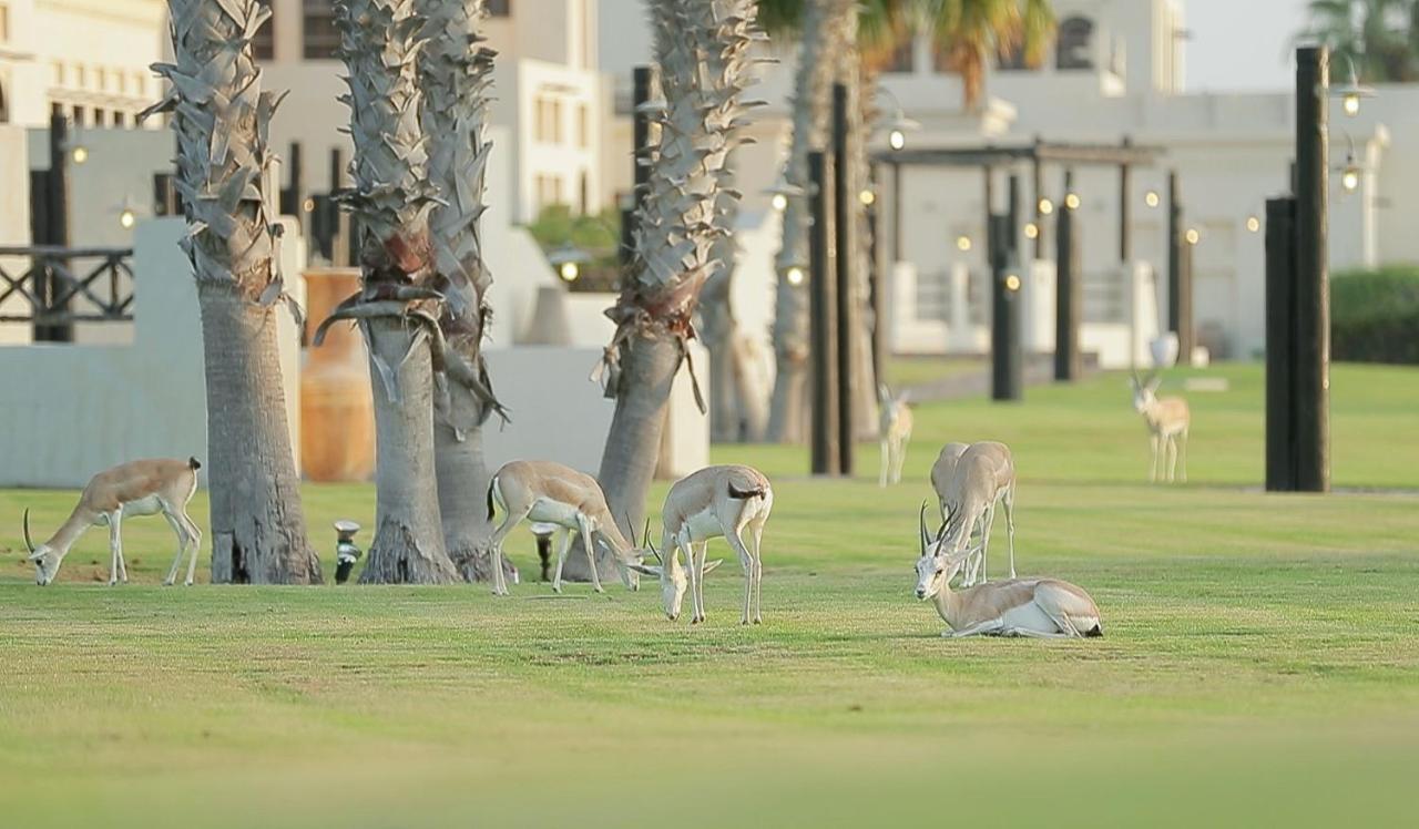 Al Maya Island & Resort Abu Dhabi Luaran gambar